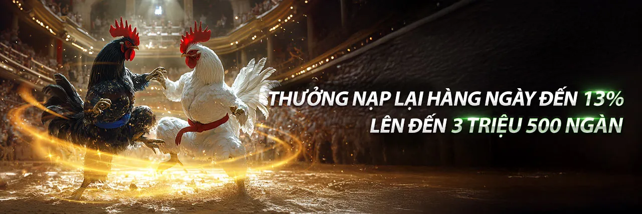 Đá Gà Trực Tuyến win5506 win